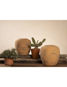 Jarron Terracota cod.230924 2