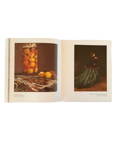 Libro Hojas Ilustrativas Van Gogh Collection cod.56033