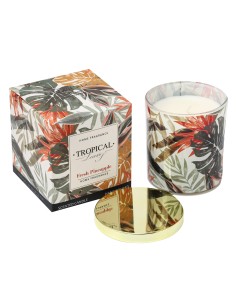 Vela Linea Tropical - Anana Fresca cod.350272