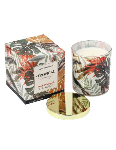 Vela Linea Tropical - Anana Fresca cod.350272