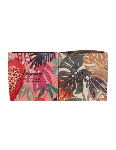 Vela Linea Tropical - Anana Fresca cod.350272