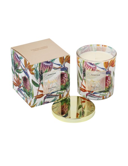 Vela Linea Hotel Collection - Frutas Tropicales cod.351227