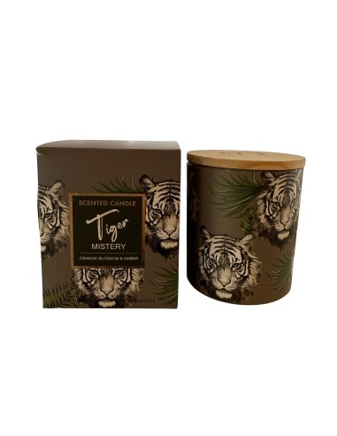 Vela Linea Safari - Naranja y Ambar cod.351229