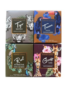 Vela Linea Safari - Frutos del Bosque cod.351231 2