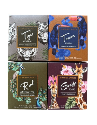 Vela Linea Safari - Frutos del Bosque cod.351231