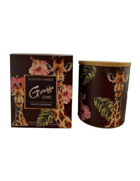 Vela Linea Safari - Gardenia Blanca cod.351232