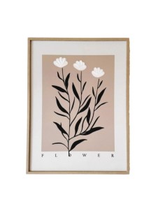 Cuadro 50x40 cod 541866