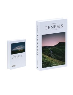 Libro Decorativo Sellado Genesis cod. 54012