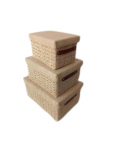 Canastos con Tapa set x3 cod. 494383