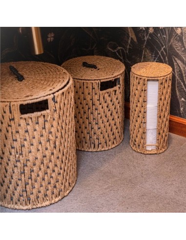 Canasto con Tapa cod. 497243