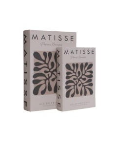 Libro Caja Matisse Set x 2 cod. 623021
