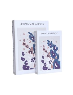 Libro Caja Spring Sensations set x 2cod. 623127