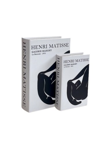 Libro Caja Henri Matisse set x2 cod 620815
