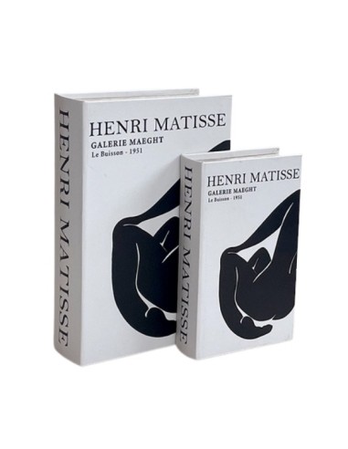 Libro Caja Henri Matisse Set x 2 cod. 623131